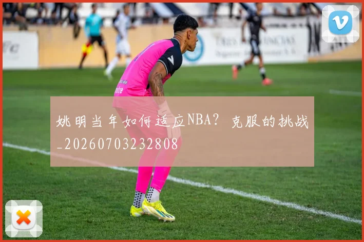 姚明当年如何适应NBA？克服的挑战_20260703232808